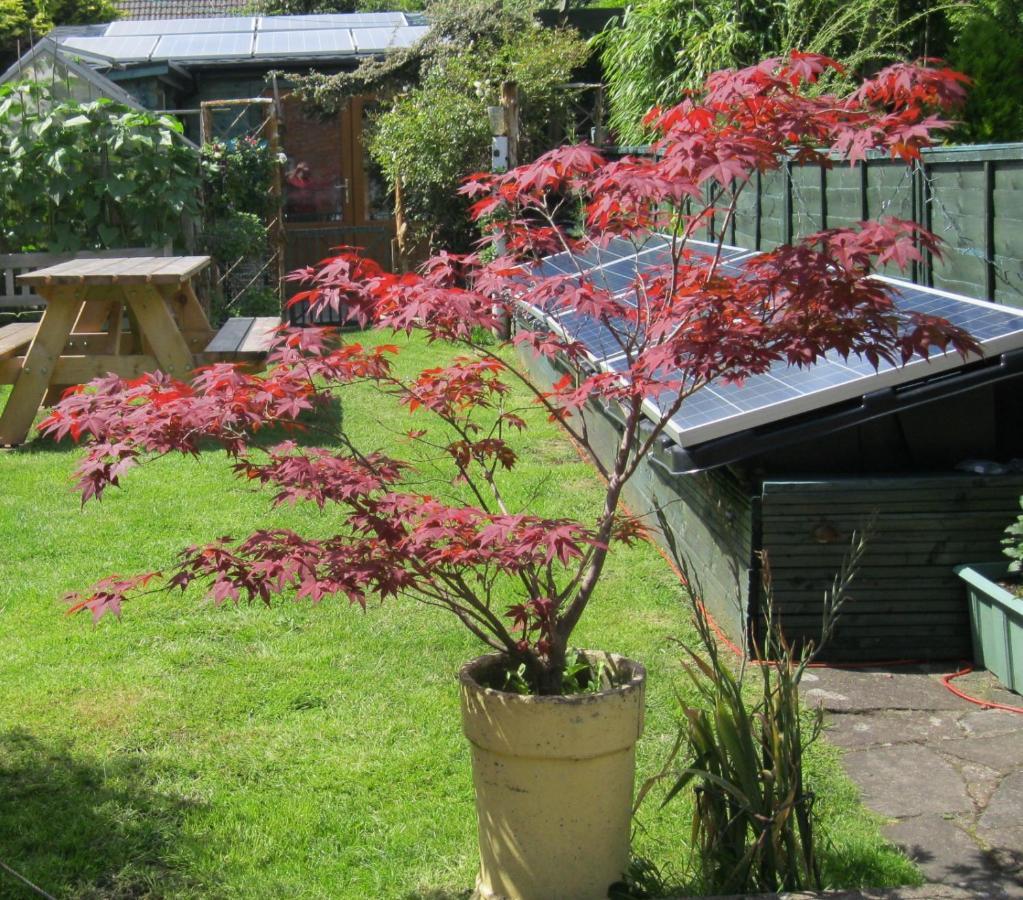 Perfect For Petersfield B&B 외부 사진